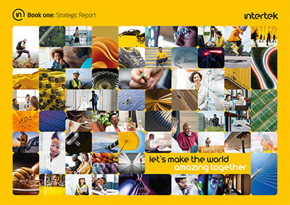 Strategic Report cover